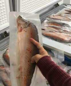 Cá thác lác rút xương giá sỉ