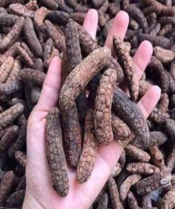 Chuối hột ngâm rượu