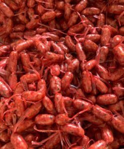 Lạp xưởng tươi cai lậy