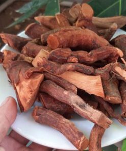 Rễ Cây Mú Từn Ngâm Rượu