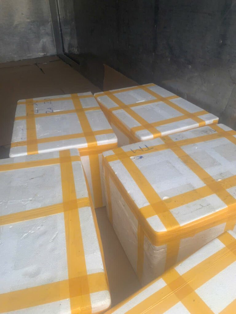 Đóng thùng xốp gửi sỉ chả cá đi Bình Dương TPHCM