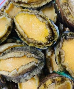 Mua Bào Ngư Ở Đâu TPHCM