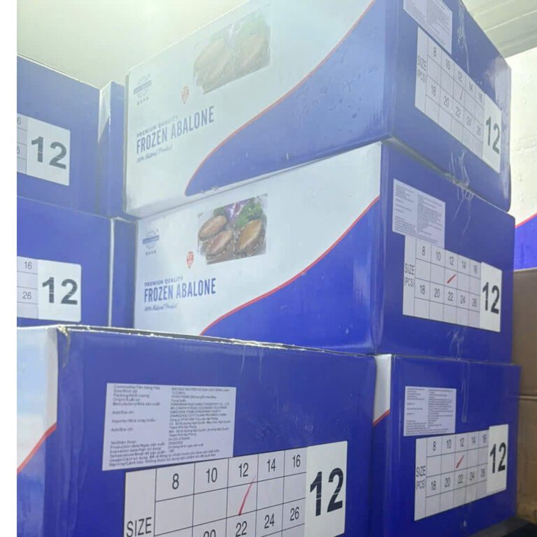 sỉ bào ngư đông lạnh đi tỉnh